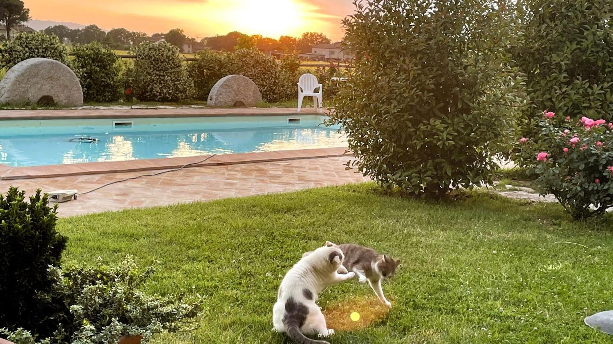 Antiche Dimore San Felice سبيلّو المظهر الخارجي الصورة